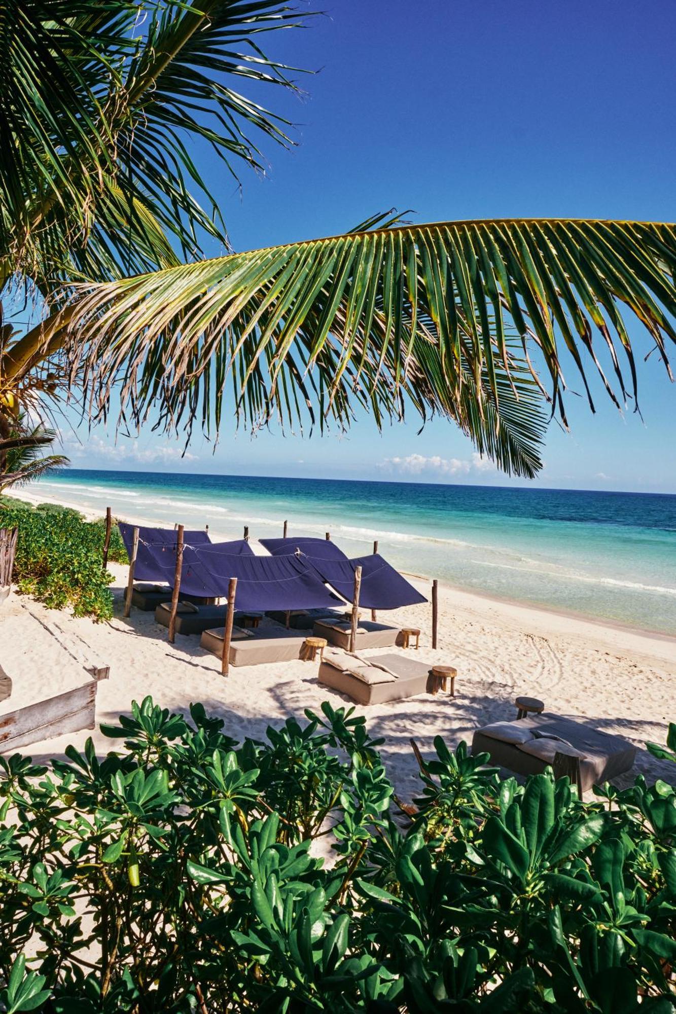 Libelula Tulum Beachfront Hotel Extérieur photo