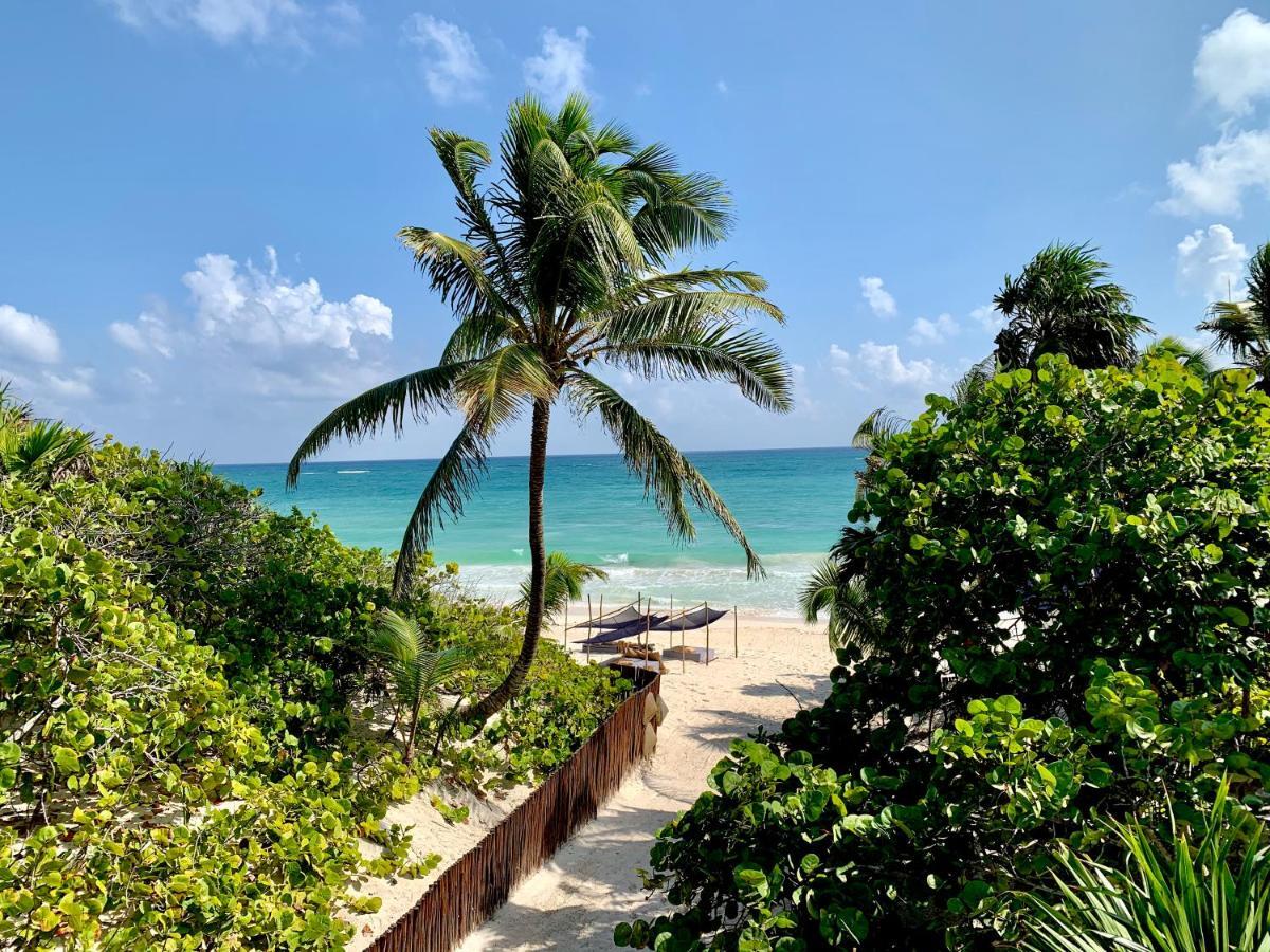 Libelula Tulum Beachfront Hotel Extérieur photo