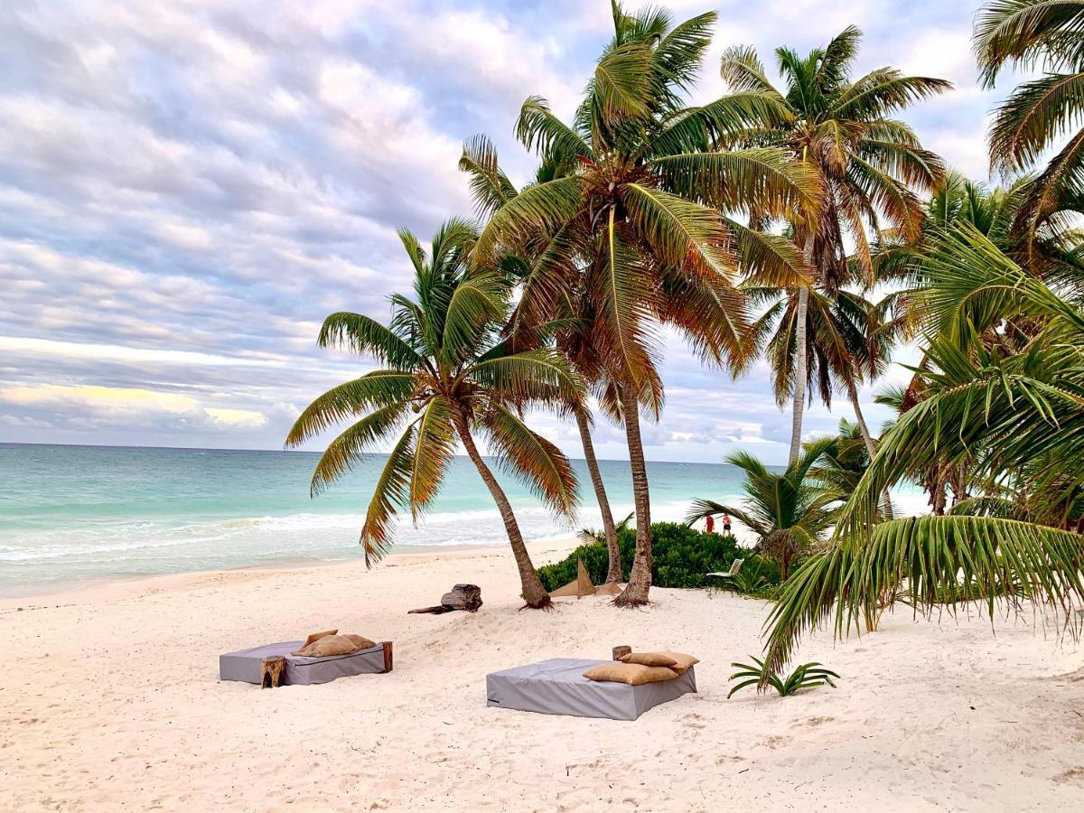 Libelula Tulum Beachfront Hotel Extérieur photo